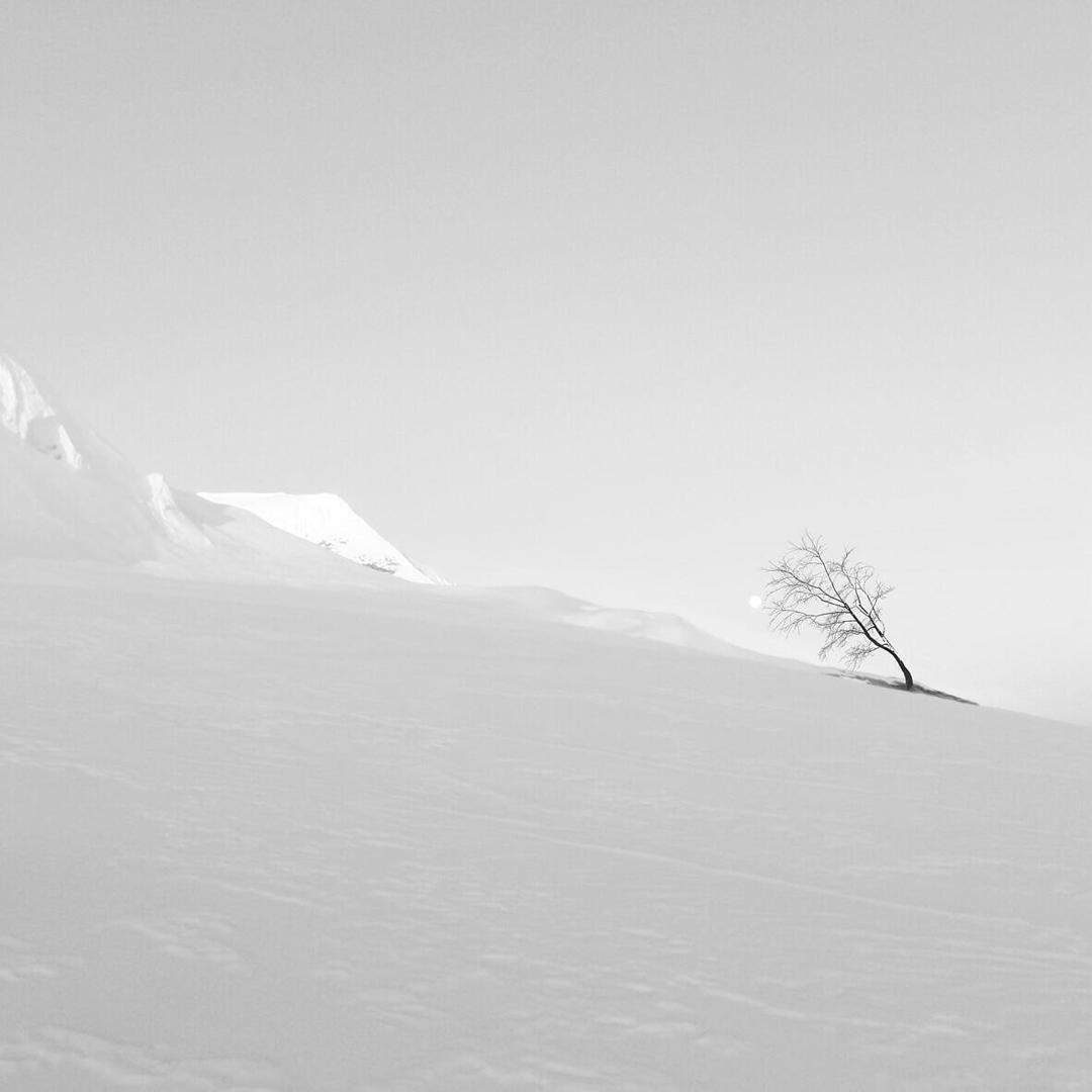 مستر دیزاین