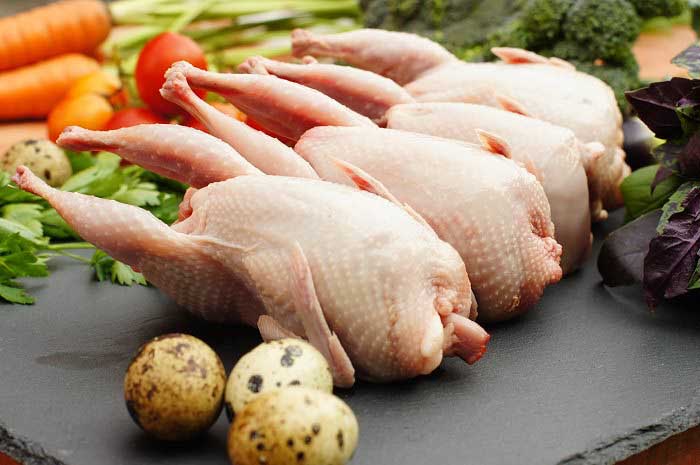 پرورش بلدرچین