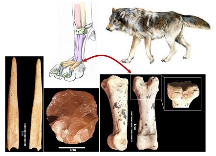 سوزن استخوانی تهیه پوشاک از خز گرگ حیدری گوران