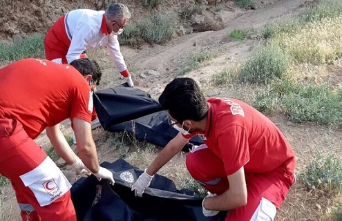 شکایت انجمن صنفی روزنامه‌نگاران علیه مسببان واژگونی اتوبوس خبرنگاران محیط زیست