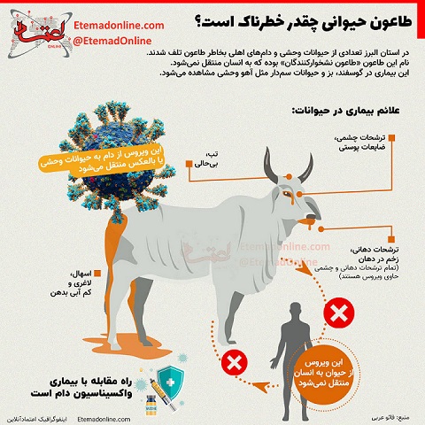 «خطر» شیوع طاعون در تهران+اینفوگرافیک asianews
