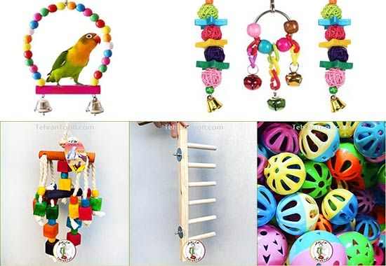 اسم برای عروس هلندی