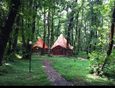 مزایده غیرقانونی چالدره متوقف شد!