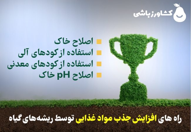 افزایش جذب مواد غذایی توسط ریشه‌های گیاه در خاک