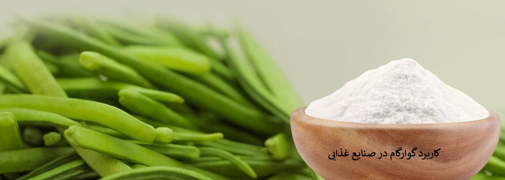 کاربرد گوارگام در صنایع غذایی