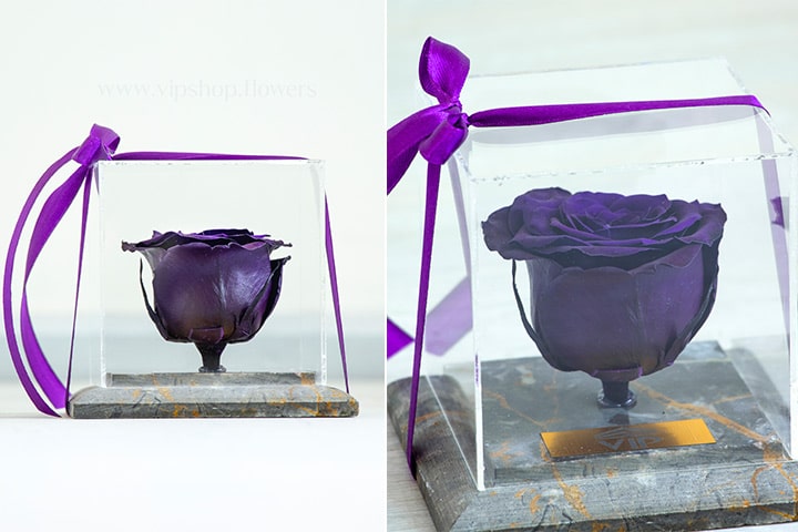 استقبال و خوش آمدگویی