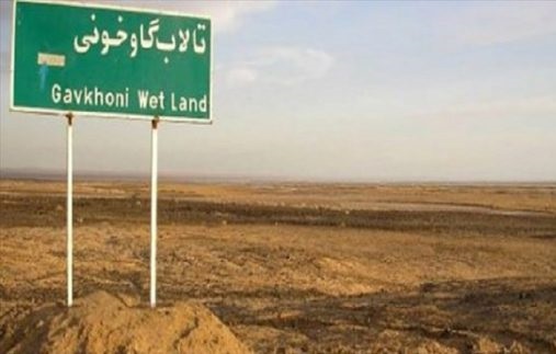 تالاب گاوخونی