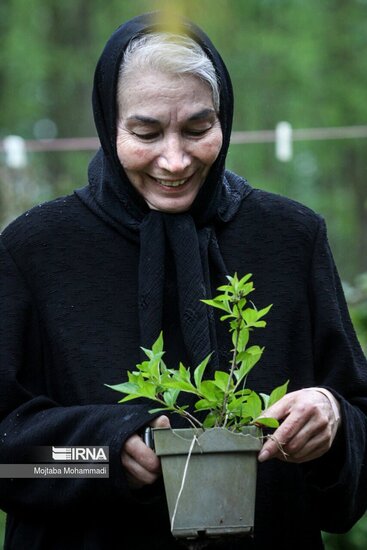 پروانه معصومی 2