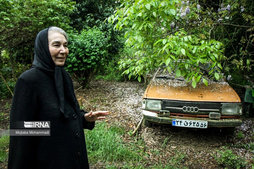 پروانه معصومی 12