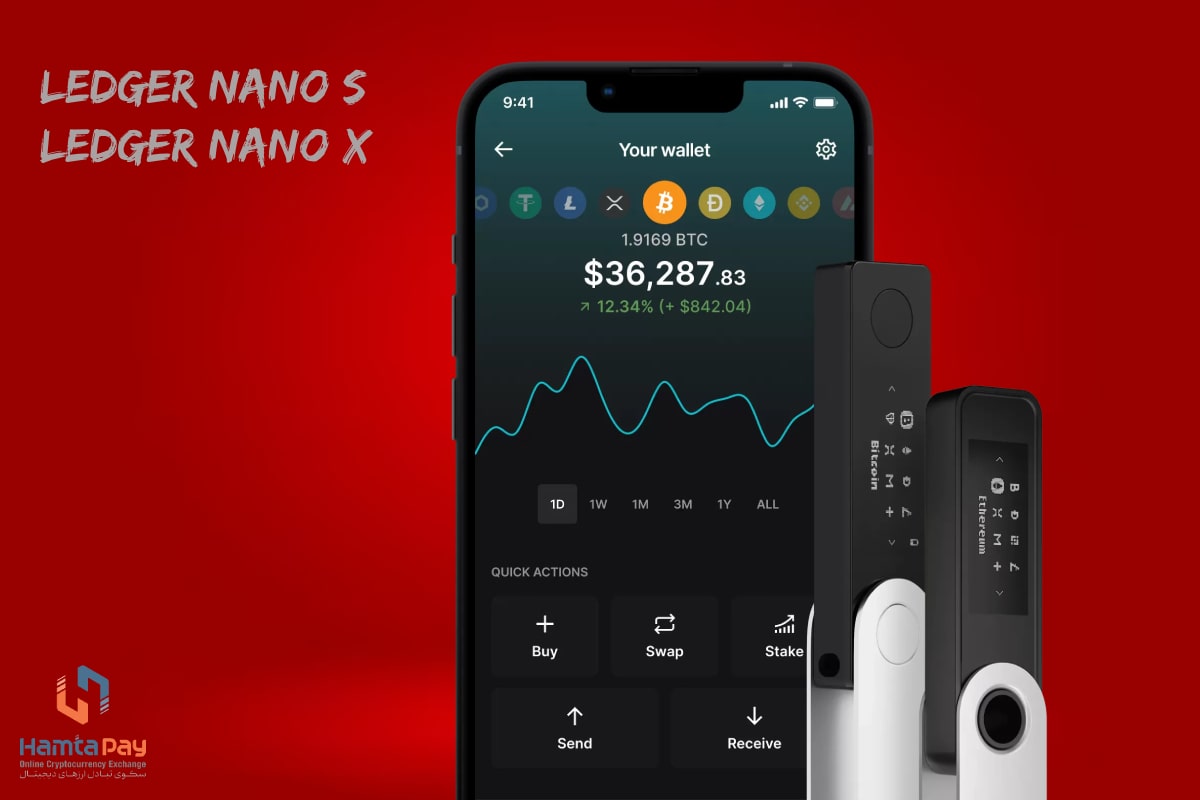 کیف پول لجر