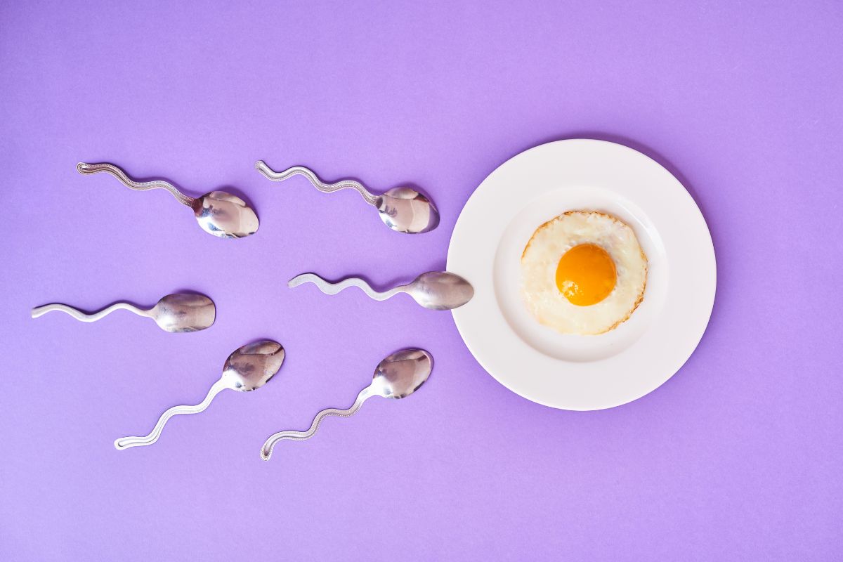 افزایش اسپرم