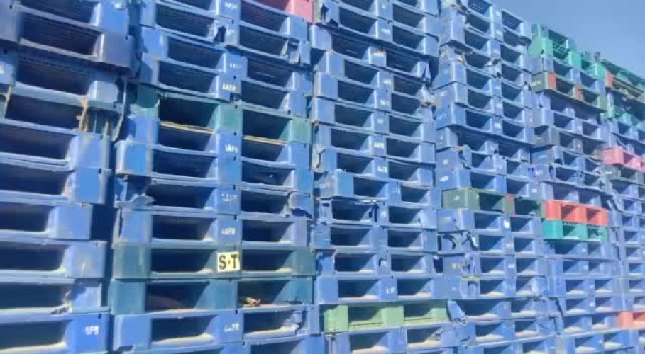 پالت پلاستیکی