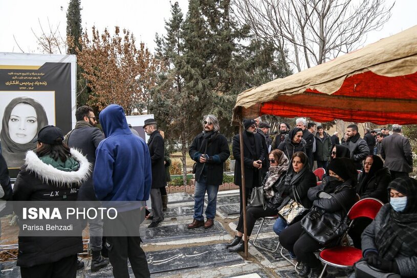 پردیس افکاری  7