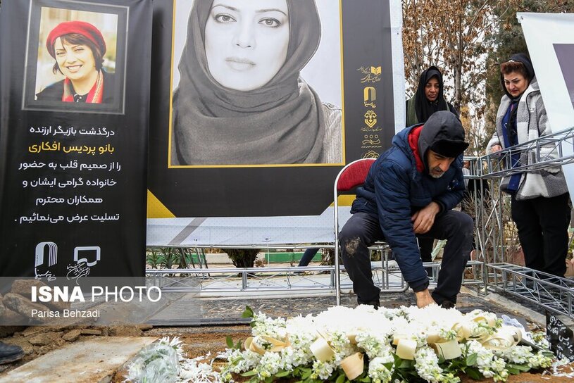 پردیس افکاری  17