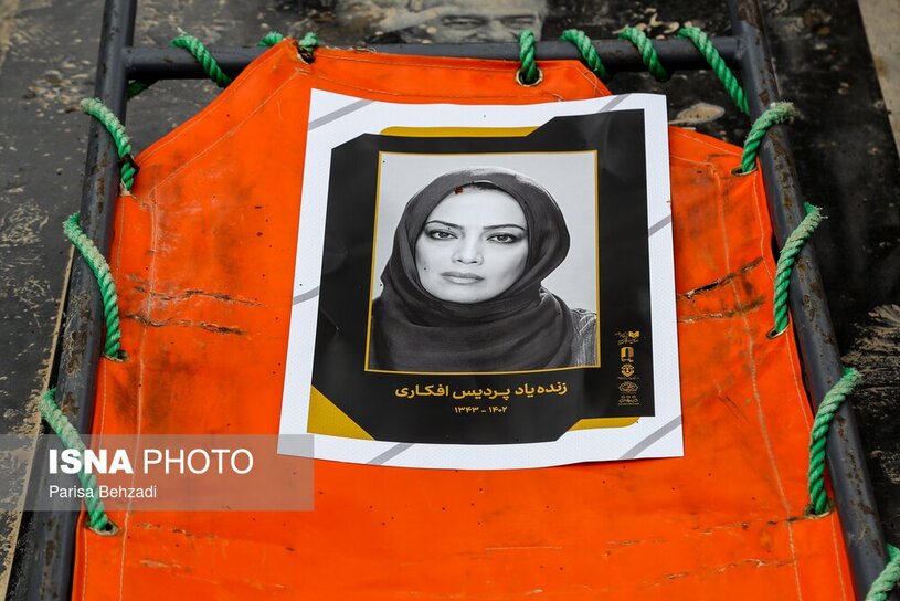 پردیس افکاری  25