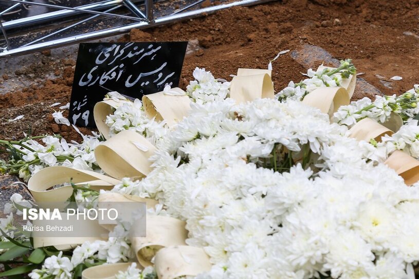 پردیس افکاری  29