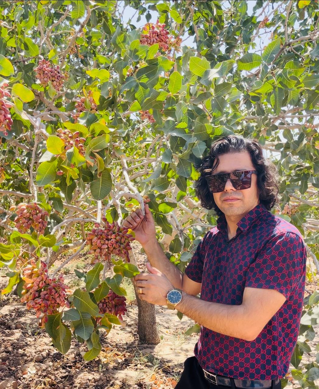 مصطفی اسماعیل زاده - صاحب برند آقای پسته