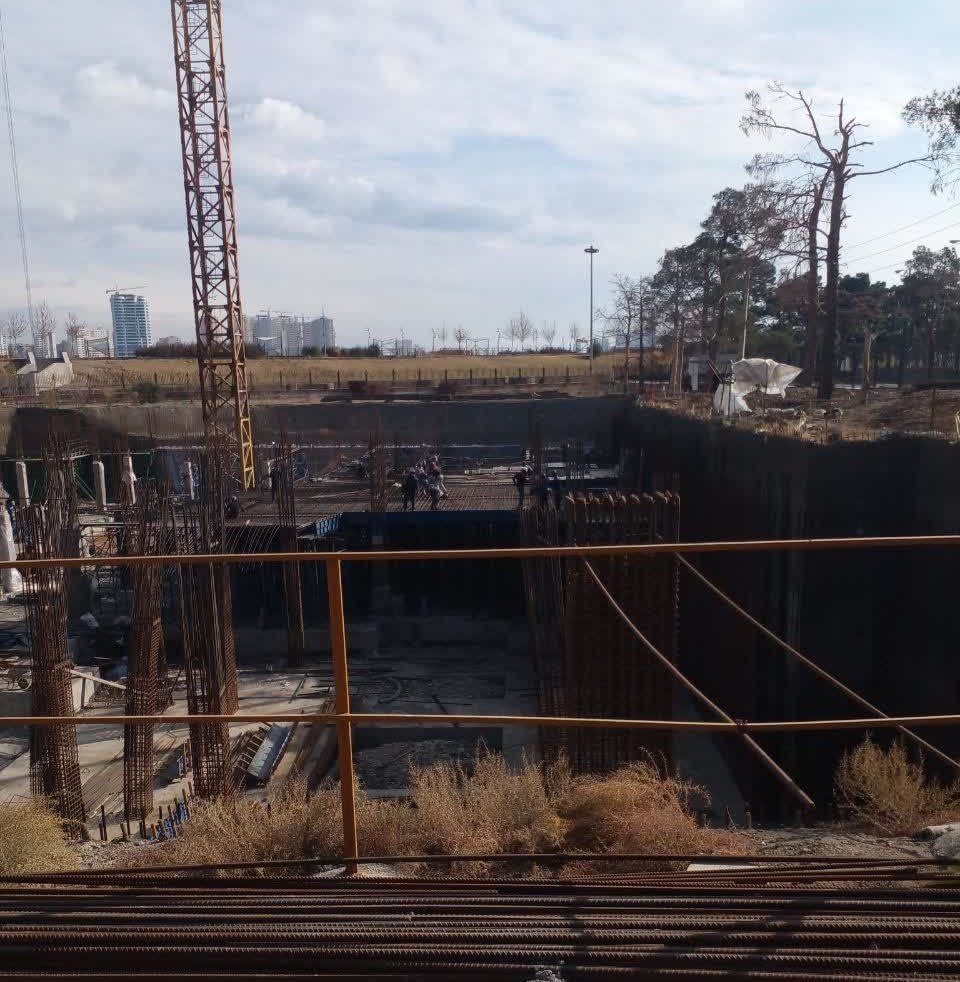 قطع درختان  3