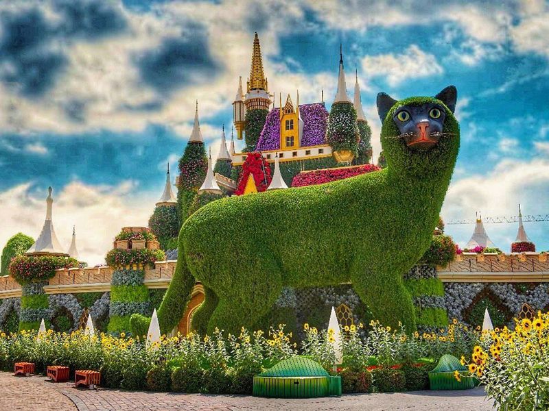 بلیط میراکل گاردن دبی