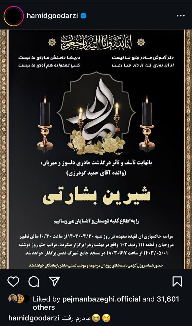 حمید گودرزی