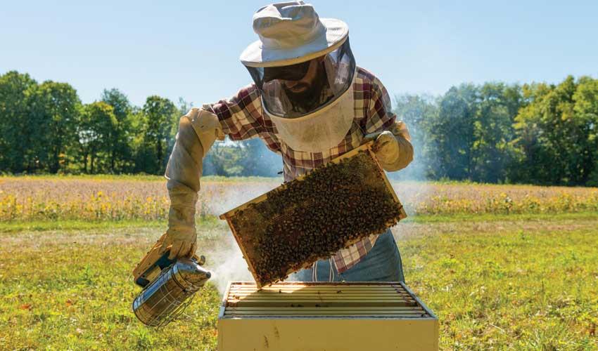 تجهیزات زنبورداری