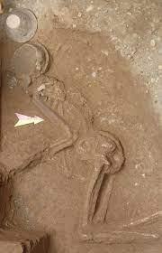 باستان شناسان