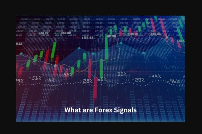 انواع سیگنال فارکس