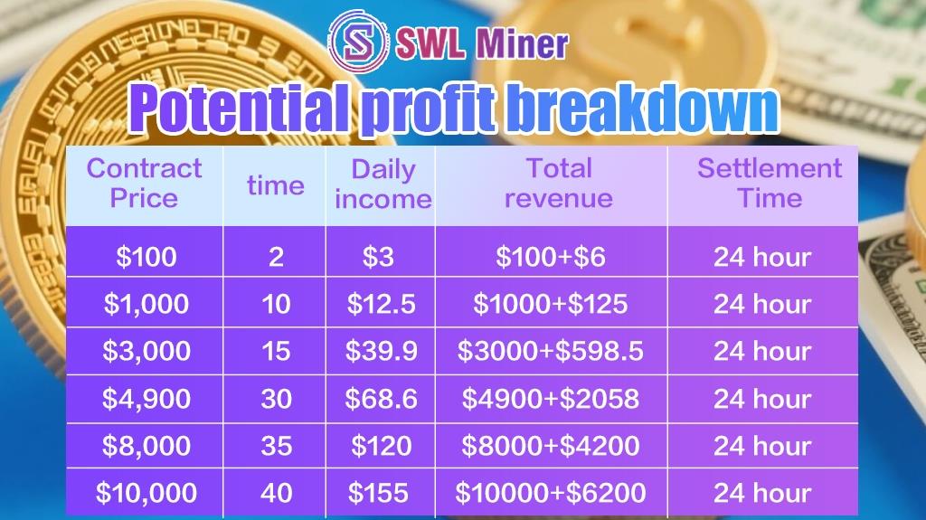 جدول رشد درآمد و بازدهی سرمایه‌گذاری در SWL Miner