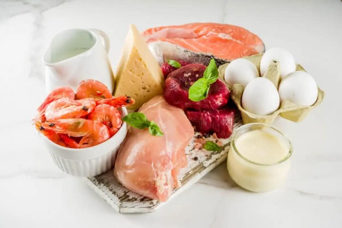 بهترین پروتیٔین طبیعی برای عضله سازی-فراتن بهترین سایت خرید مکمل بدنسازی-داروخانه آنلاین فراتن