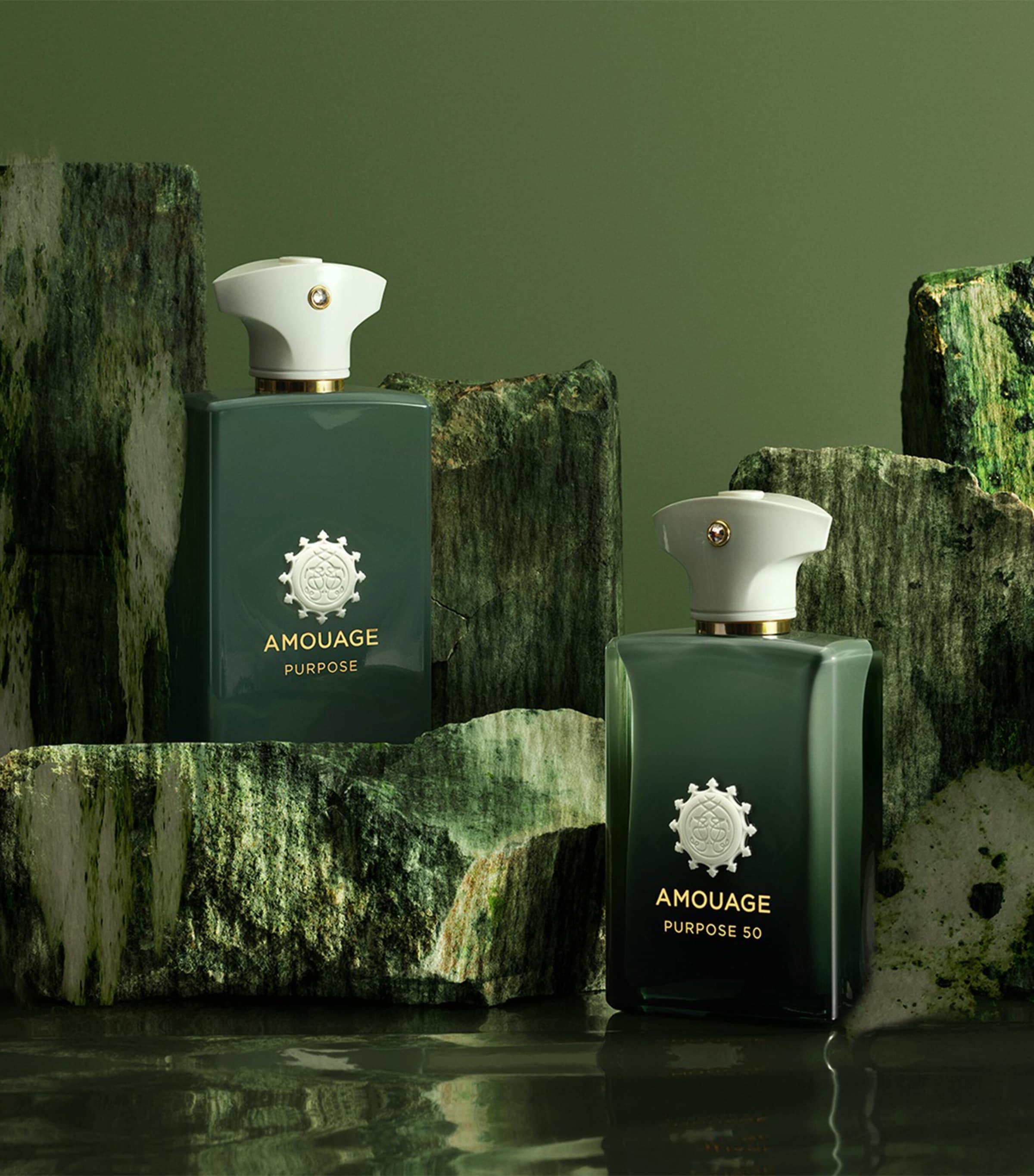 برای چه کسانی Amouage Purpose انتخابی ایده آل است؟