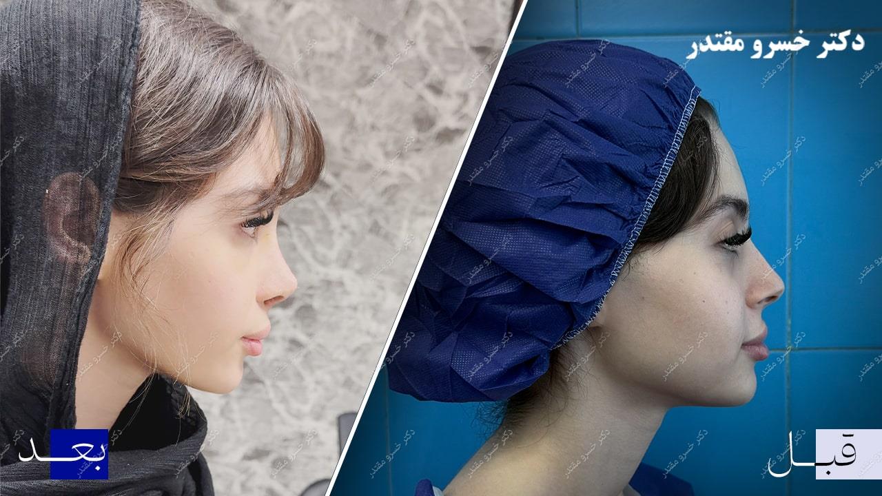 سابقه عمل دکتر خسرو مقتدر