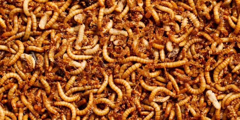 راه اندازی کسب و کار با کمترین سرمایه