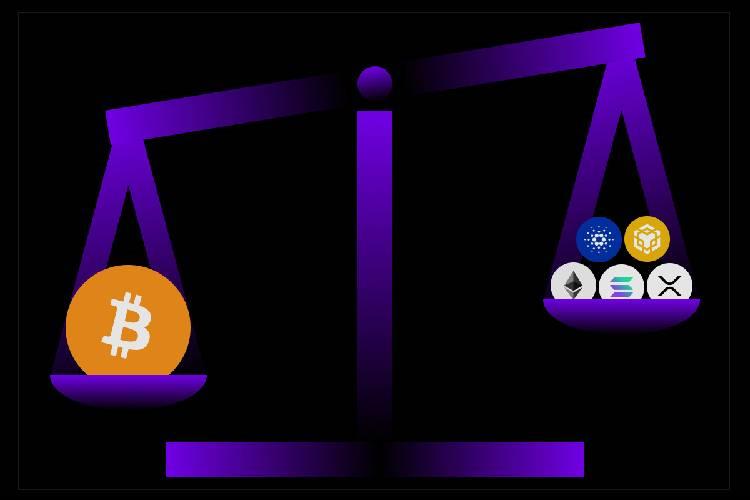 کاربردهای دامیننس بیت کوین چیست؟
