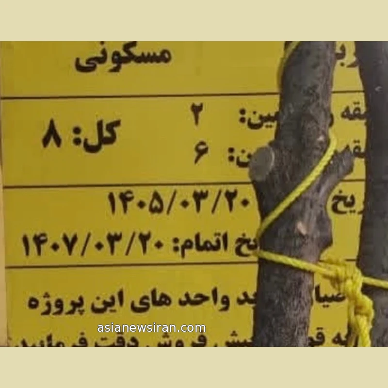 بخش تاریخ‌ها و مشخصات پروژه در تصویر منتشرشده همراه اعتراض حسن شماعی‌زاده