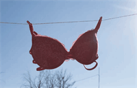 اسم انواع لباس زیر زنانه و دخترانه: راهنمای کامل انتخاب لباس زیر شیک و راحت