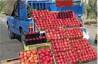 ​دعوا بر سر قیمت انار، با پایانی خونین در خیابان