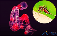 شناسایی ۵ مورد ابتلا به چیکونگونیا در کشور