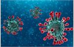 سرایت «هولناک» سویه جدید کرونا به دلیل «تاج های پروتئینی»/کرونای جهش یافته  «اومیکرون» نام گرفت