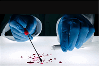 پروسه شناسایی پیکر کشته‌شدگان جنگ؛ از آزمایشگاه تا آزمایش DNA پزشکی قانونی
