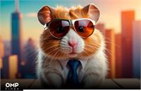 دادگستری تهران درباره بازی همستر هشدار داد