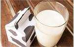 شیر؛ منبع غنی کلسیم/اظهارات غیر علمی به سلامتی مردم آسیب می زند