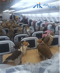 پرواز لوکس شاهین‌ها با کلاس تجاری!