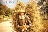 قتل پیرمرد افغان در مشهد؛ انتقامجویی به خاطر بیکاری!