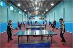 برترین‌های تنیس روی میز المپیاد ورزشی محلات معرفی شدند