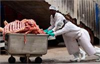 گوشت کنیایی به میادین شهرداری تهران می‌رسد