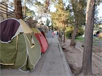 اسکان موقت و ایمن به همراهان بیمار فاقد اقامتگاه داده شود