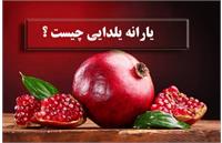 ماجرای واریز کمک هزینه شب یلدا برای یارانه بگیران