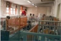 ماجرای فاجعه آزار کودک معلول در کلاردشت