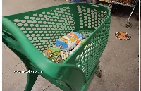 شمیم کالابرگ؛ راهنمای نصب، استعلام اعتبار و رفع مشکل ورود