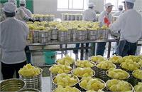 نوسان ارز و سیاستگذاری نامناسب دولت؛ «تهدیدات» صنعت غذا هستند